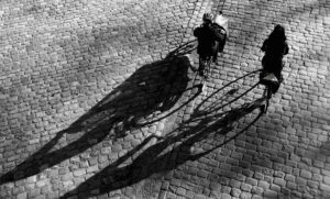 The Shadows scaled